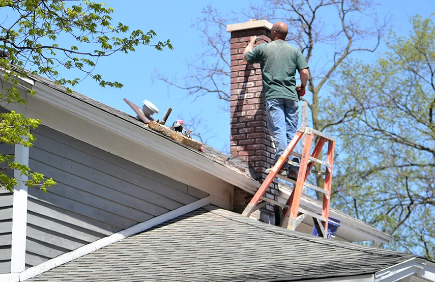 Chimney & Fireplace Inspections Services in Manassas, VA